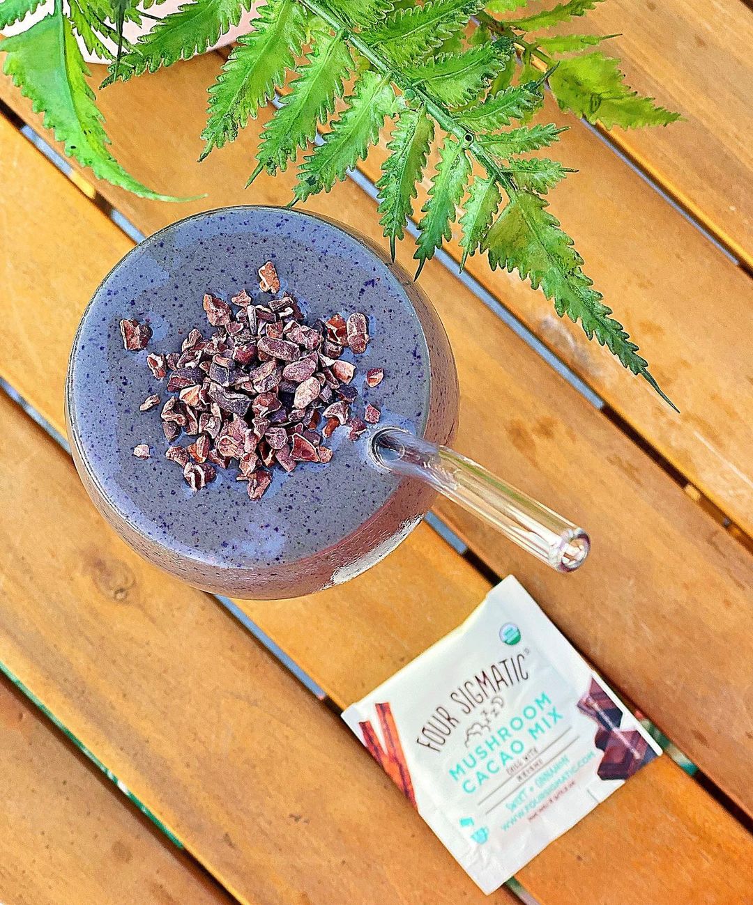 Relaxing Reishi Blueberry Smoothie