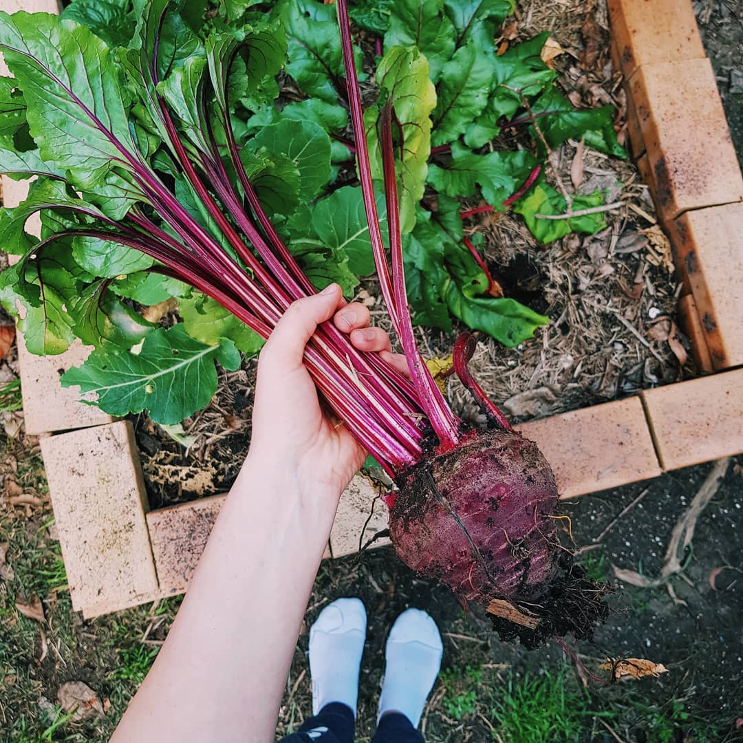 Detoxifying Beetroot & Berry Smoothie Recipe