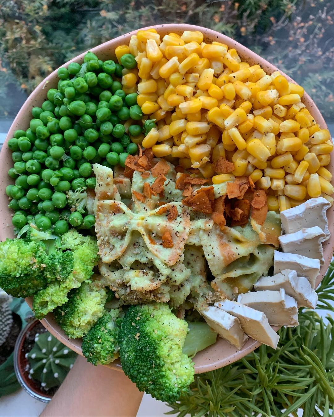 Easy Vegan Avocado Pasta with Cashew Camembert