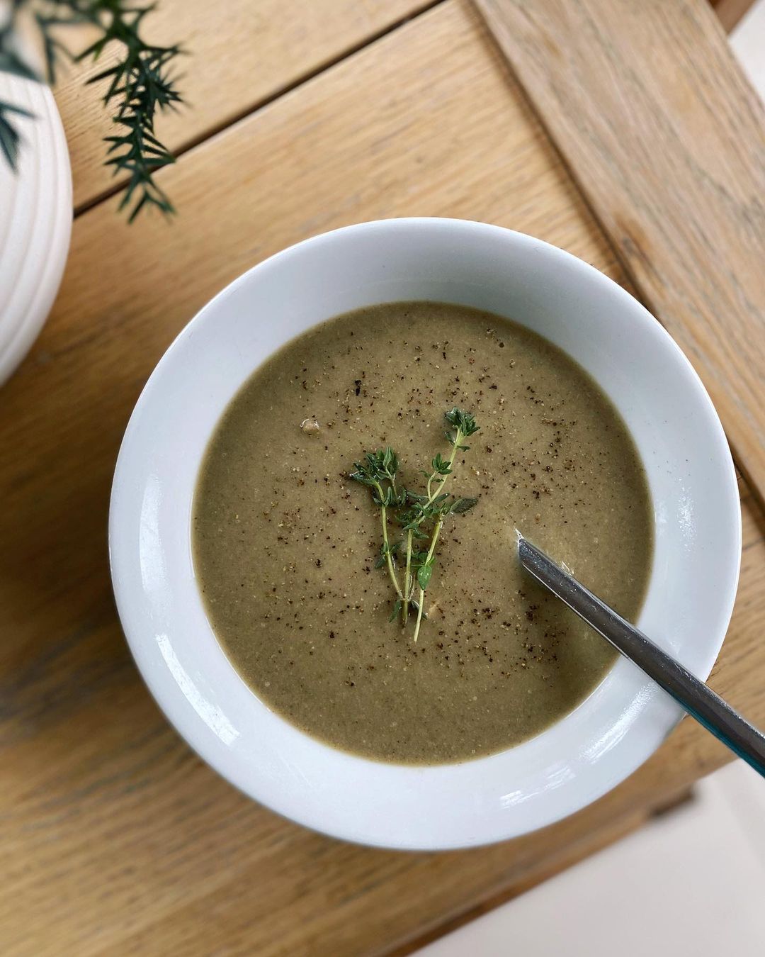 Mushroom Soup