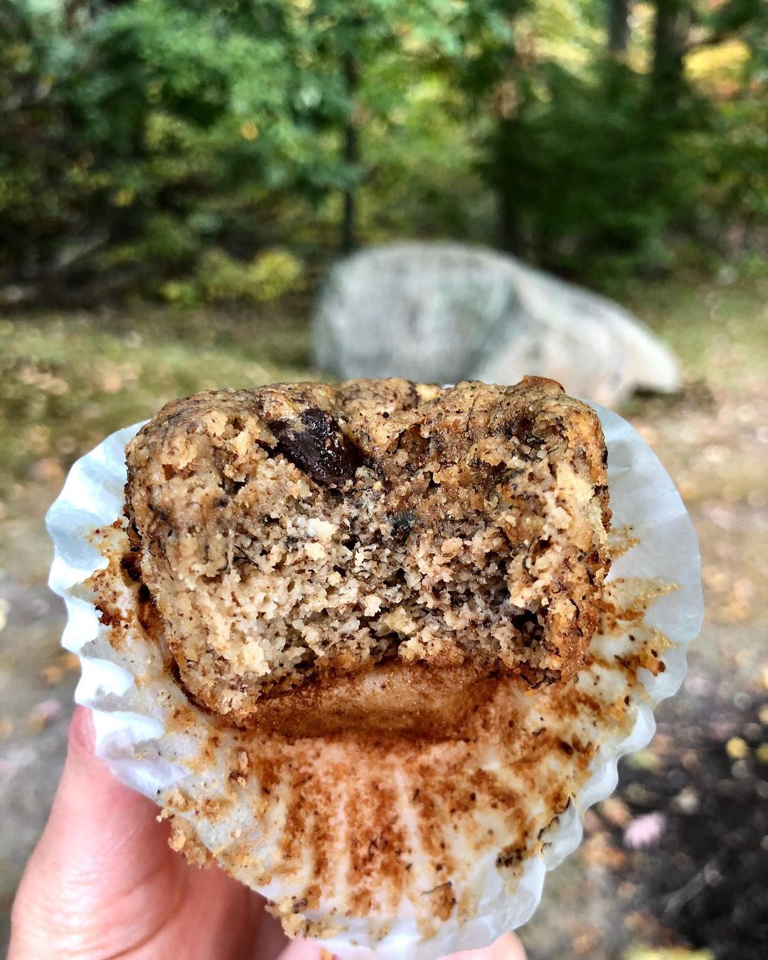 Easy Banana Chocolate Chip MuffinsGluten Free-Low Sugar- Paleo