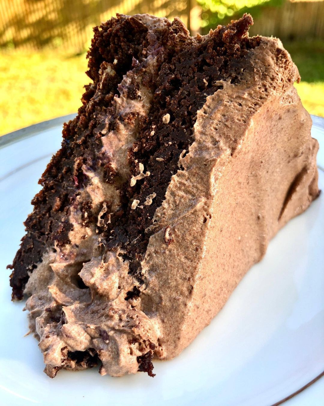 Vegan | Paleo | Gluten Free Espresso Brownie Cake with Chocolate Mousse Whipped “Frosting”
