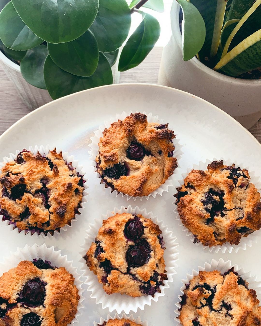 Gluten Free Dairy Free Lemon Blueberry Muffins