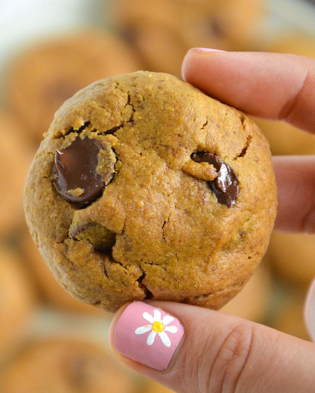 Vegan Chocolate Chip Cookies