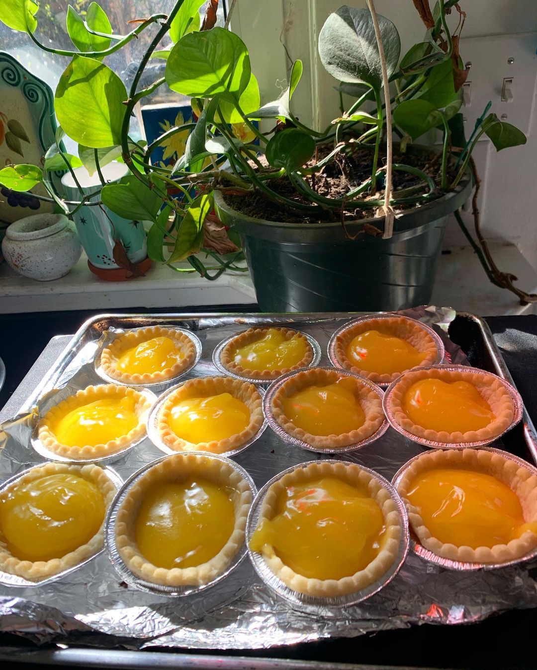 Easy Vegan Lemon Tarts