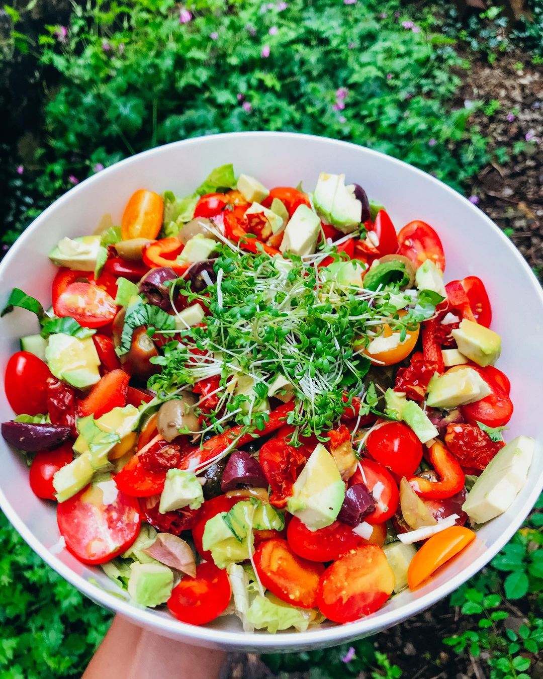 Fully Raw Organic Vegetable Salad
