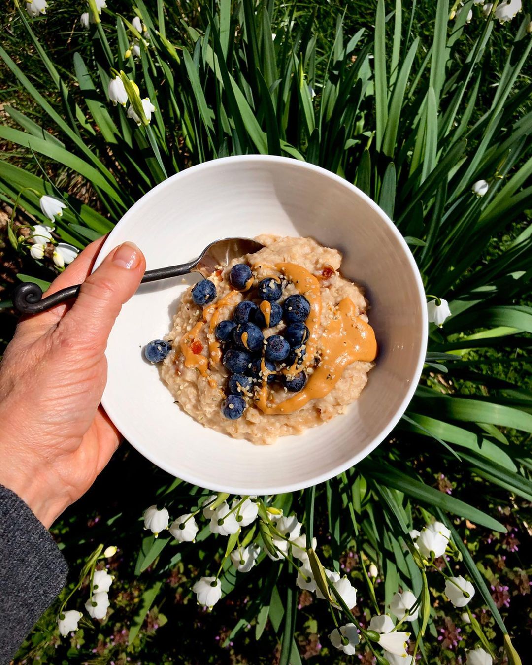 Oatmeal Bowl