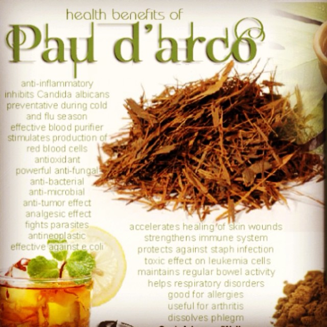 Pau D’Arco Herbal Tea Preparation