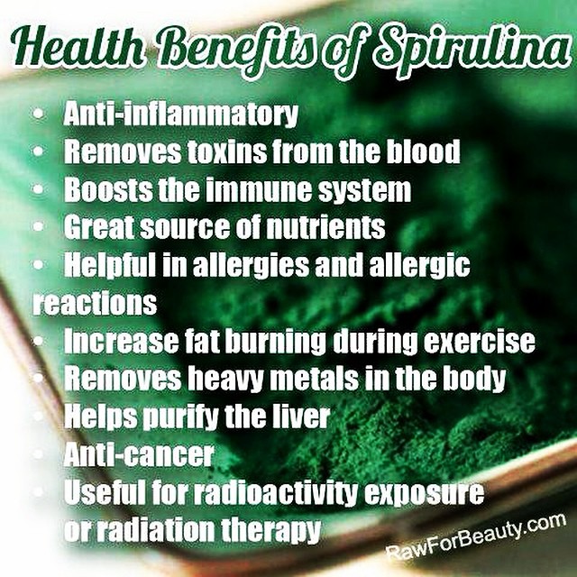 Spirulina Is a "Miracle" Plant in the Form of Blue-Green Algae