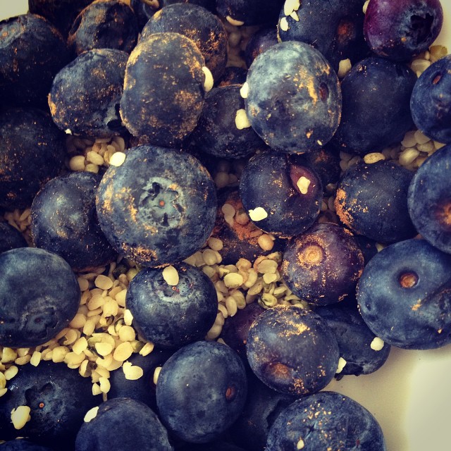 Raw Blueberry Hemp Seed Mix