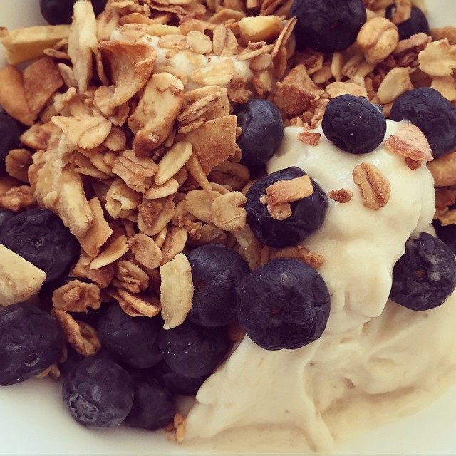 Healthy Frozen Banana Blueberry Ice Cream