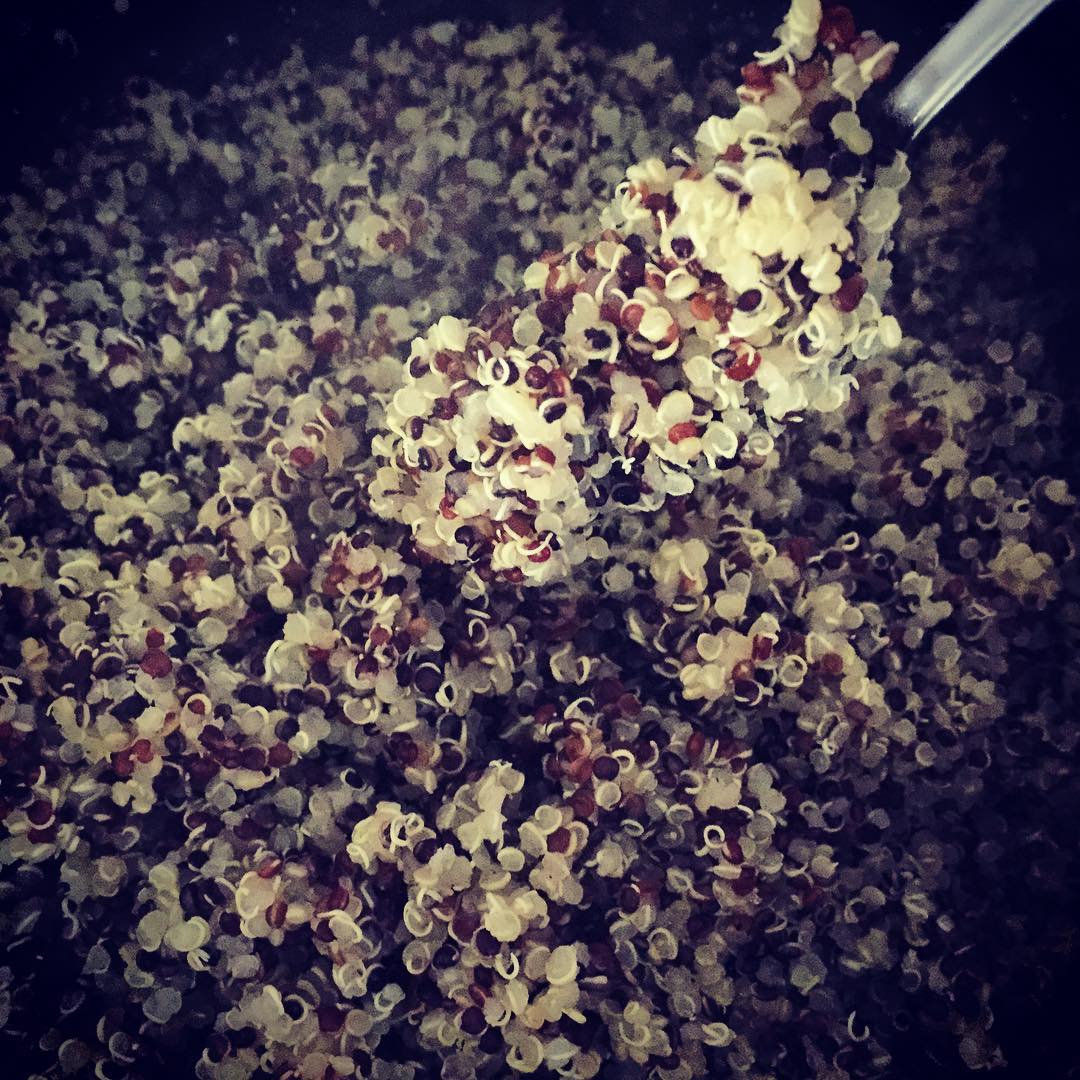 How to Cook Quinoa Perfectly for Meals