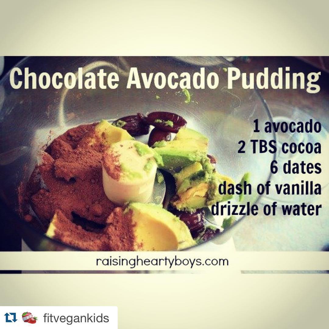 Raw Vegan Chocolate Avocado Pudding