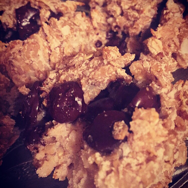 Warm Oil-Free Vegan Chocolate Chip Cookies