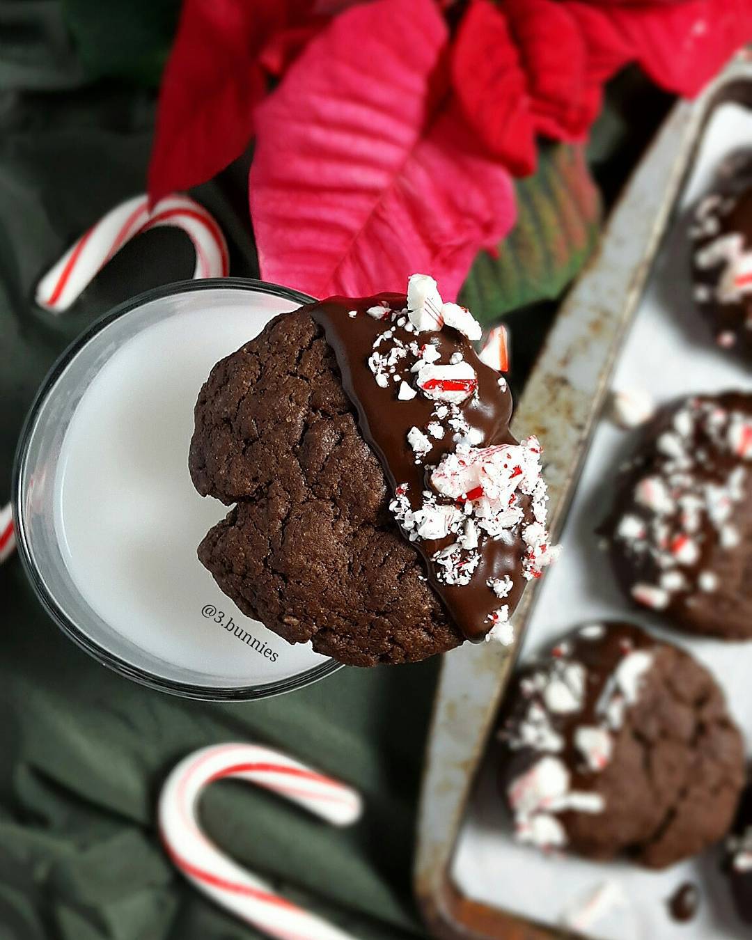 Dark Chocolate Peppermint Cookies