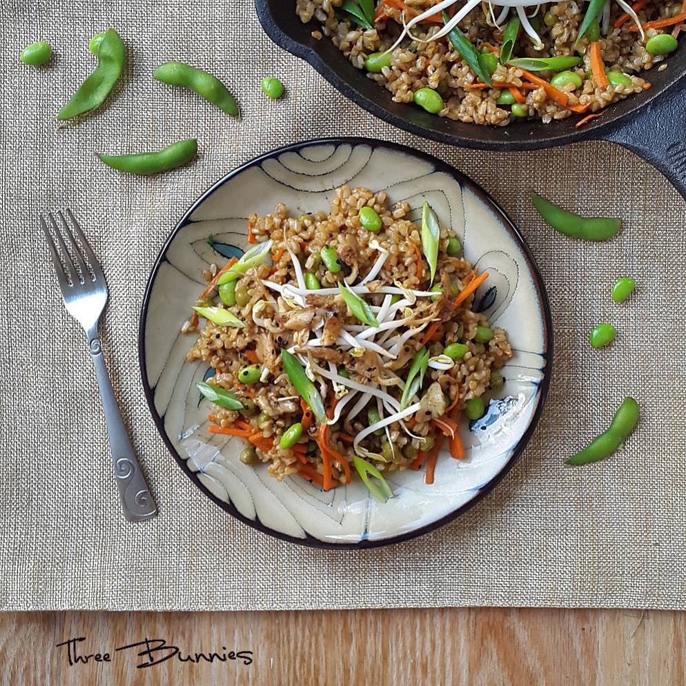 Homemade Plant-Loaded Fried Rice