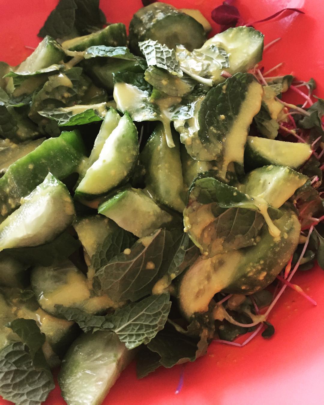 Vegan Cucumber Mint Snack with Tahini Dressing
