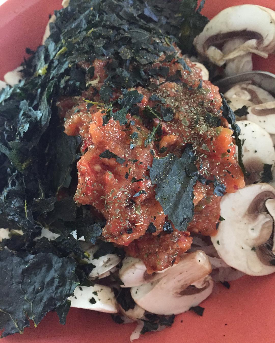 Raw Pasta Sauce with Zucchini Noodles