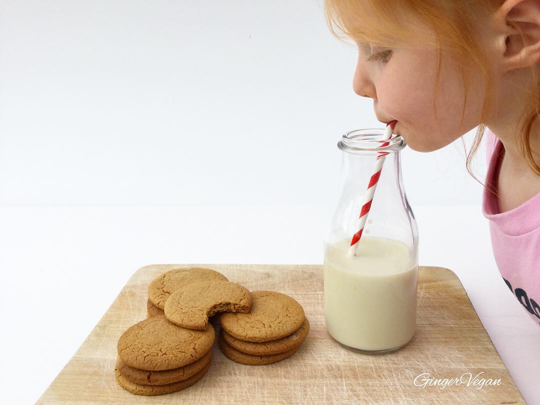 Vegan Gingerbread Biscuits with Oat Milk