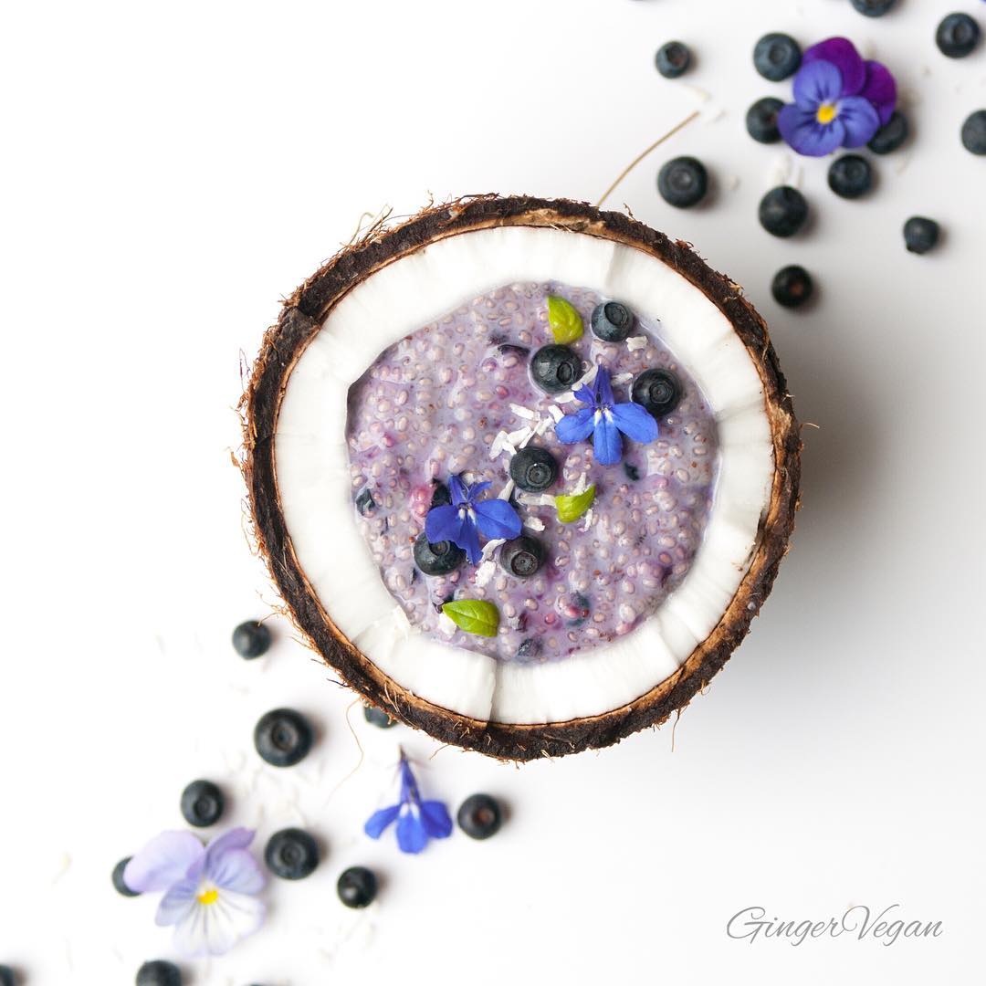 Vegan Blueberry Chia Pudding Breakfast