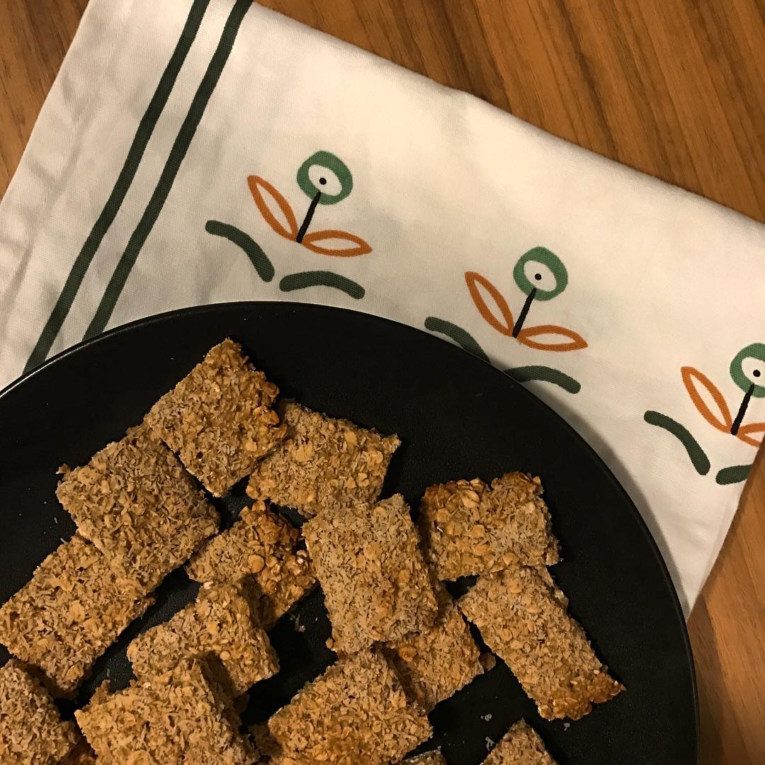 Bits and Pieces of Coconut and Oatmeal Bites