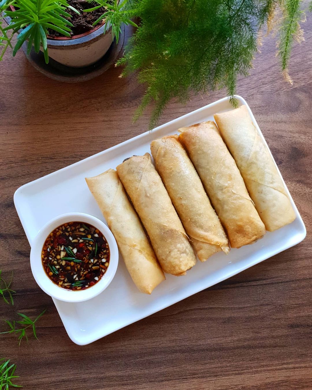 Chicken Spring Rolls