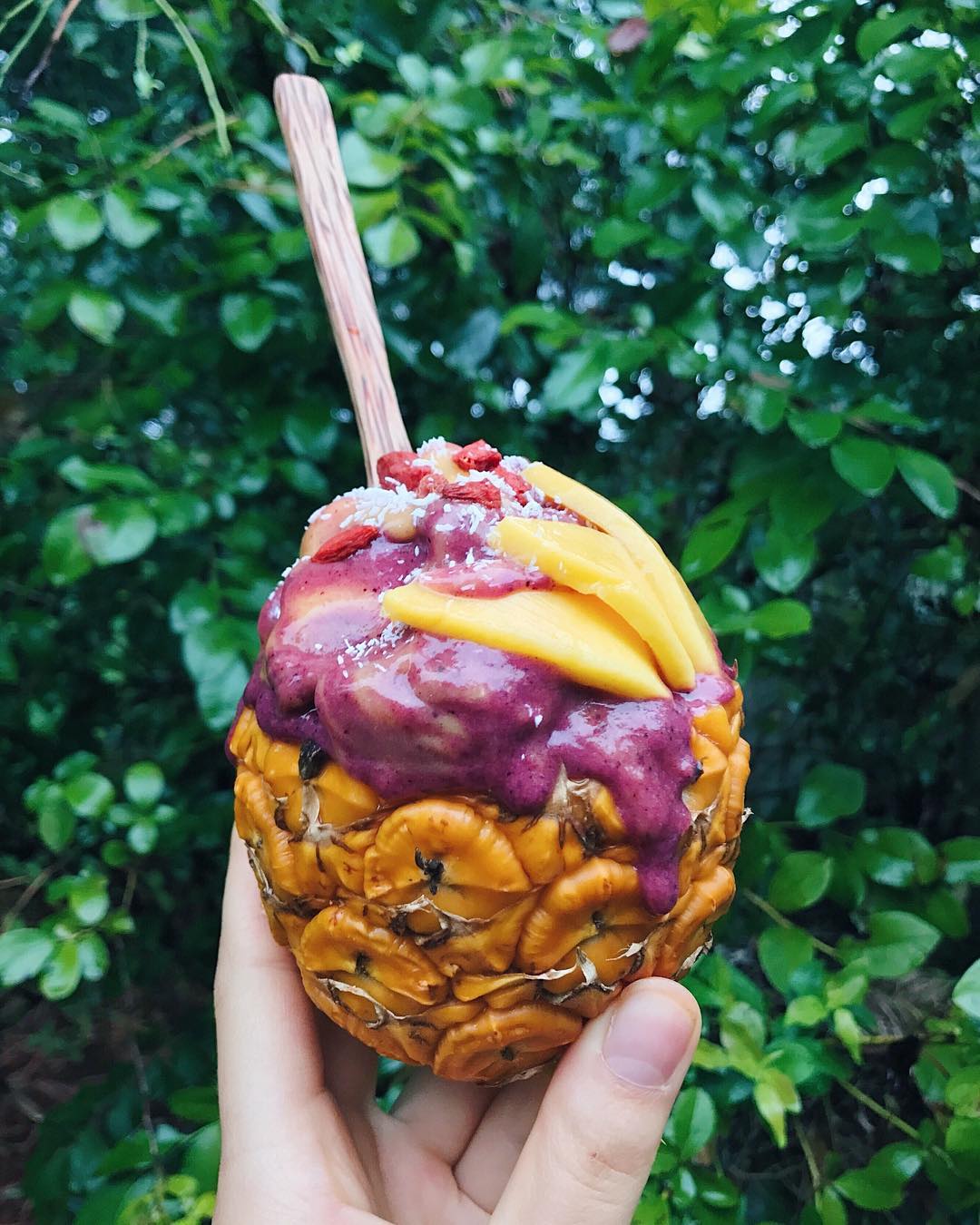 Mango Berry Sorbet Swirl