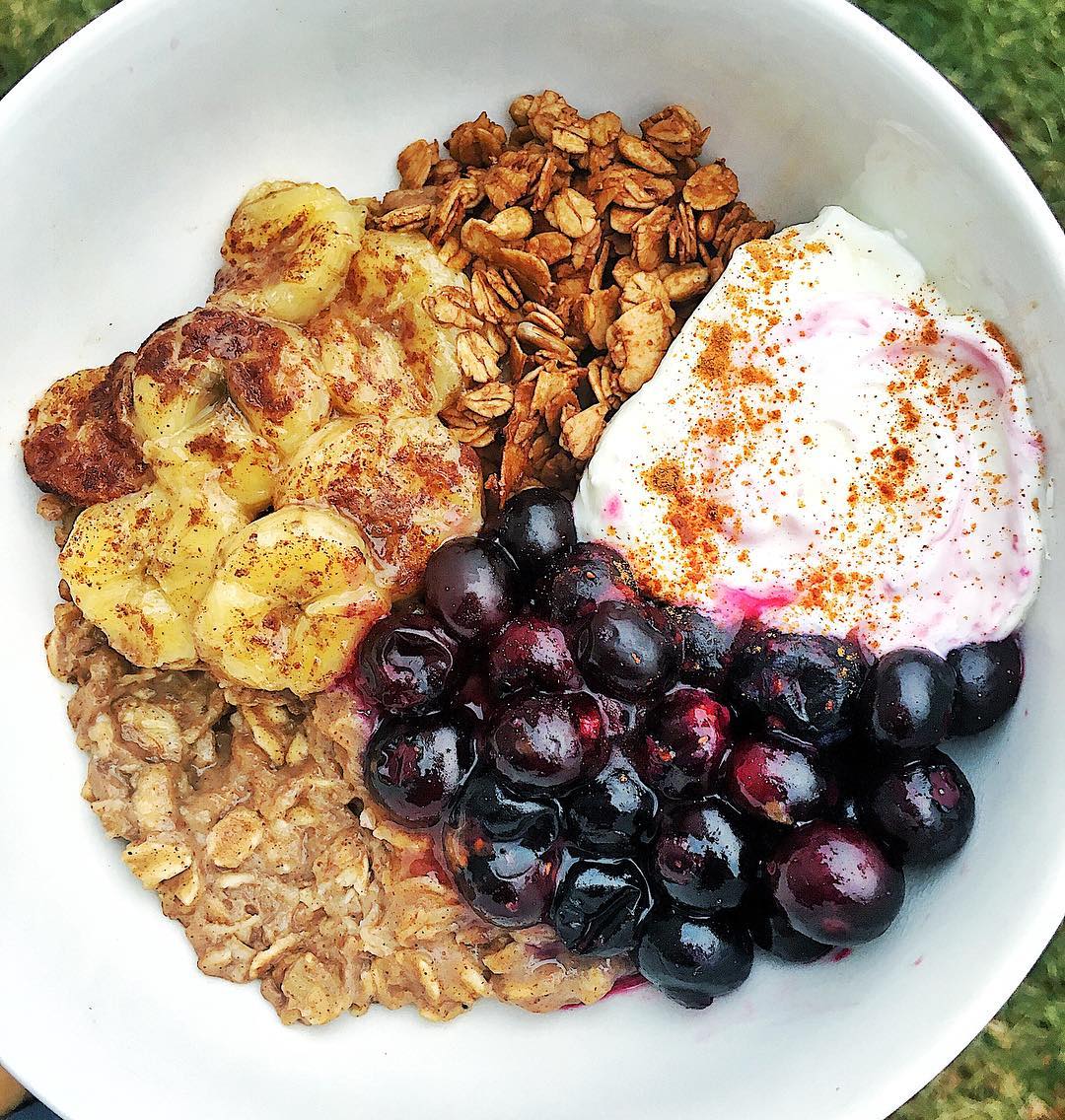 Bowl of Protein Chocolate Coconut Oats