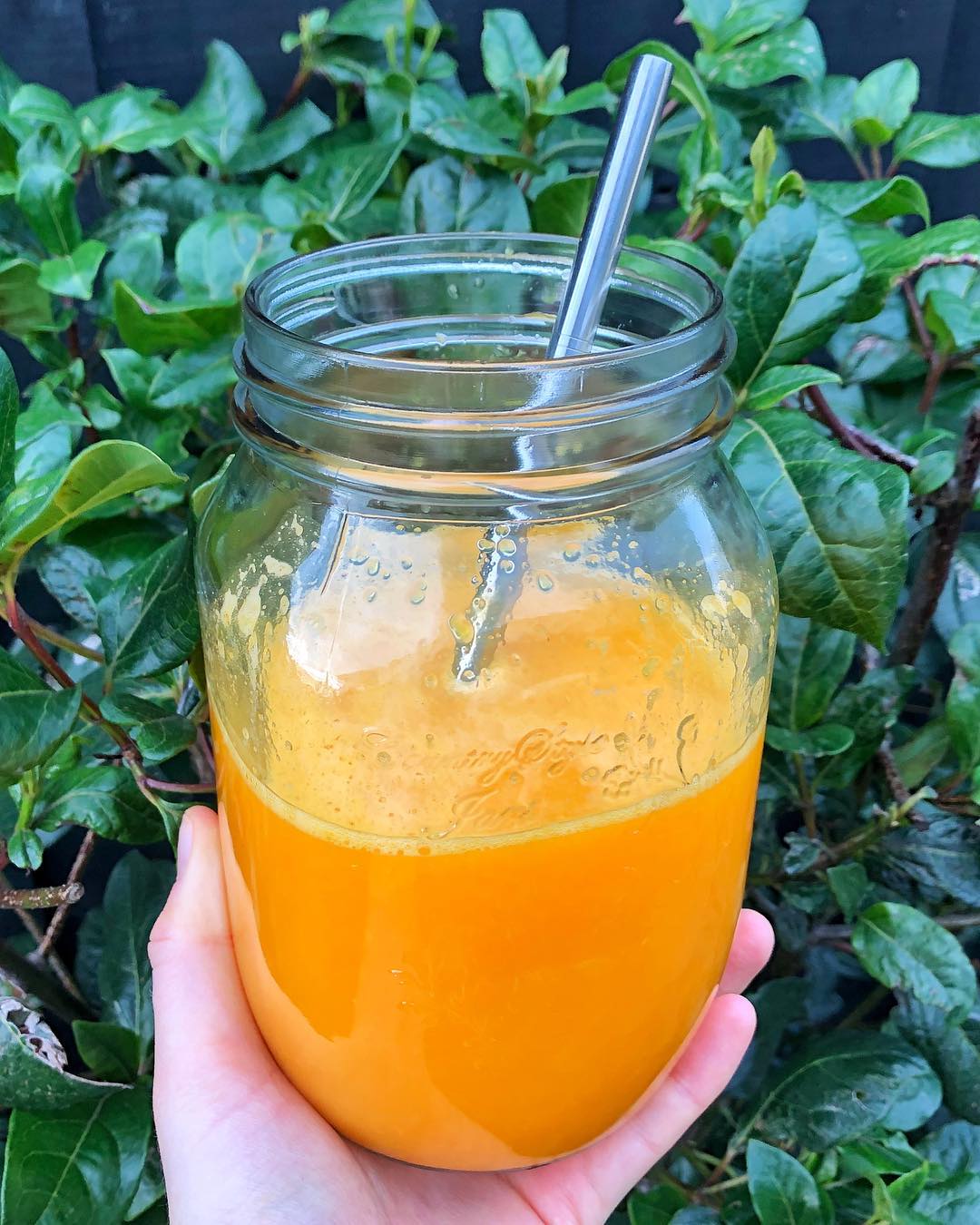 Homemade Juice Made with Blender and Fresh Produce