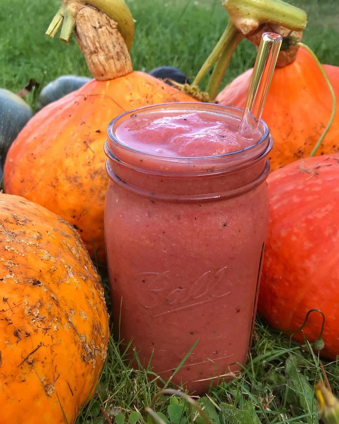 Family Sized Pink Dragon Fruit Smoothie