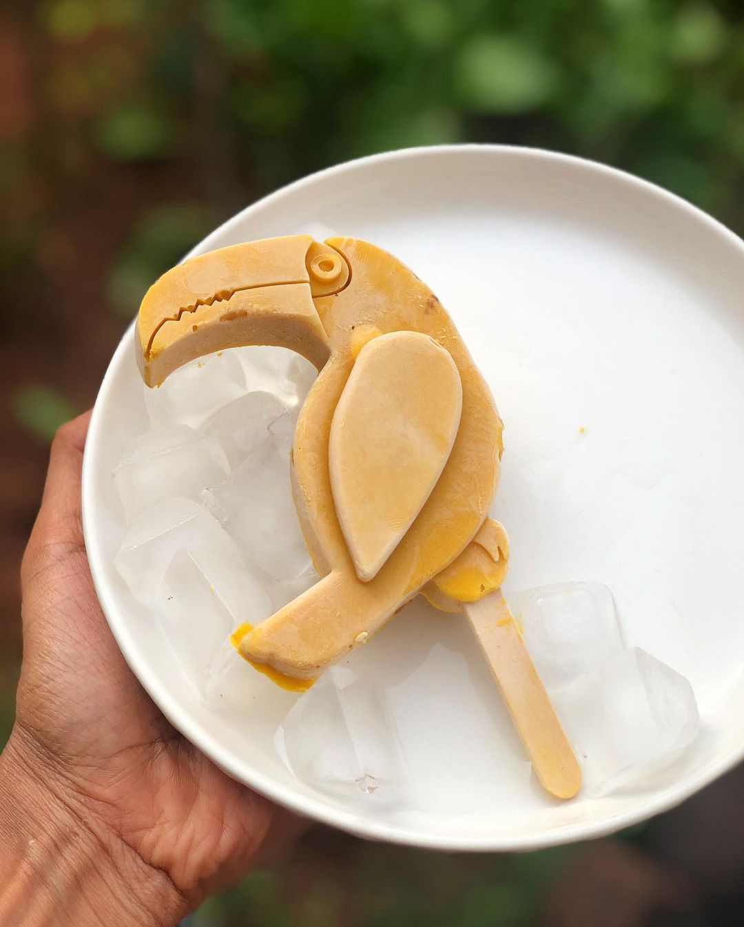 Refreshing Mango Chickpea Popsicles with Coconut