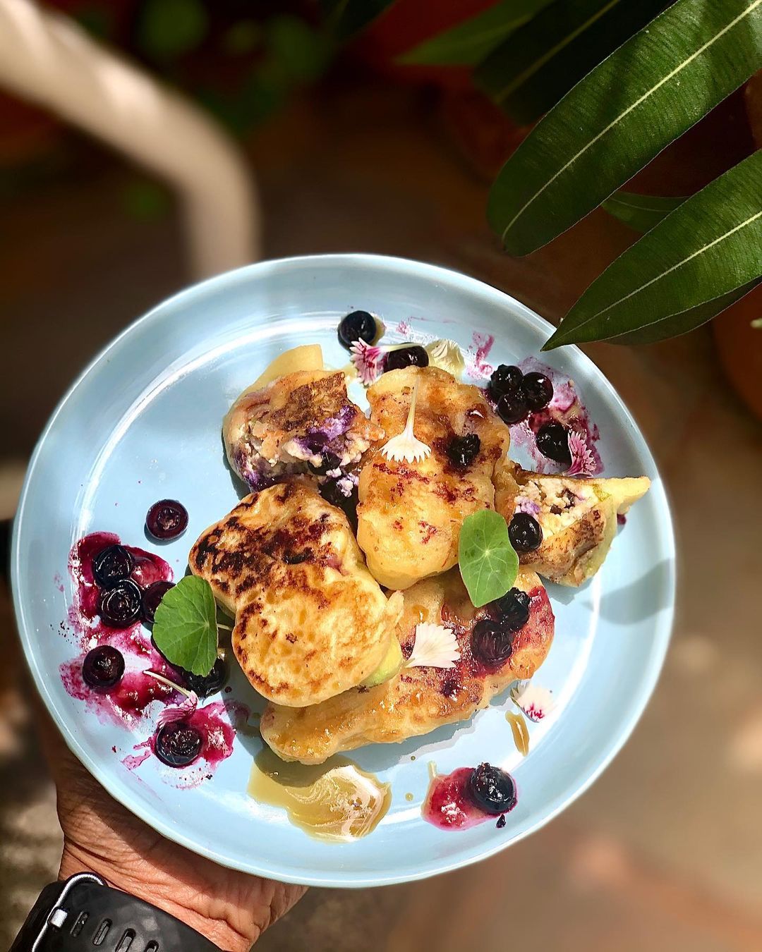 Pumpkin and Zucchini Blooms Stuffed with Tofu Ricotta