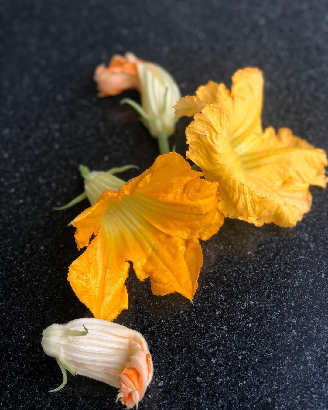 Pumpkin and Zucchini Blooms Stuffed with Tofu Ricotta