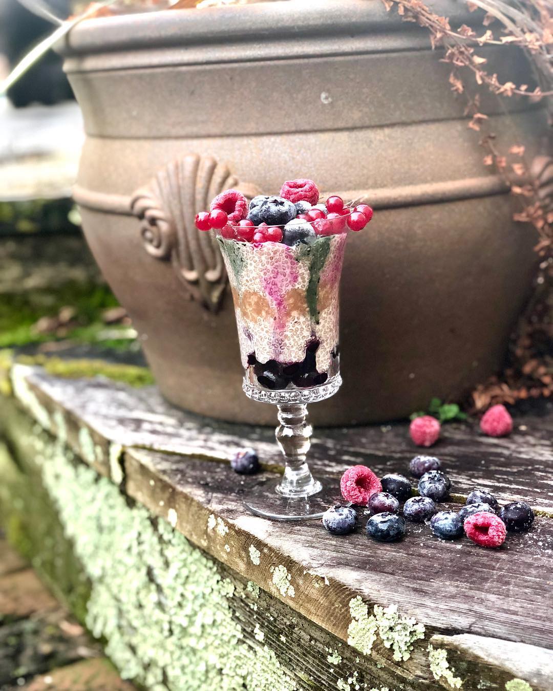 Chia Pudding Parfait