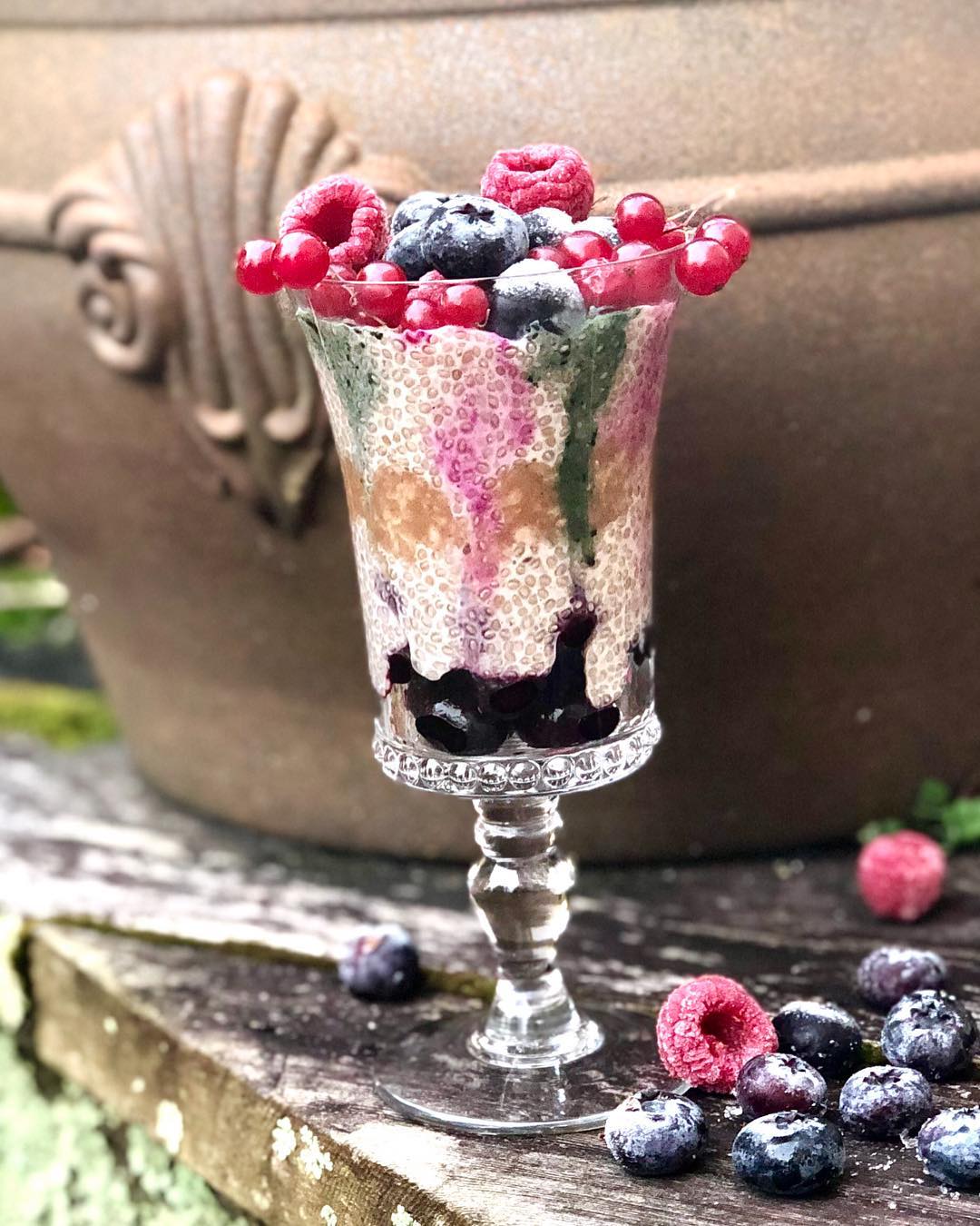 Chia Pudding Parfait