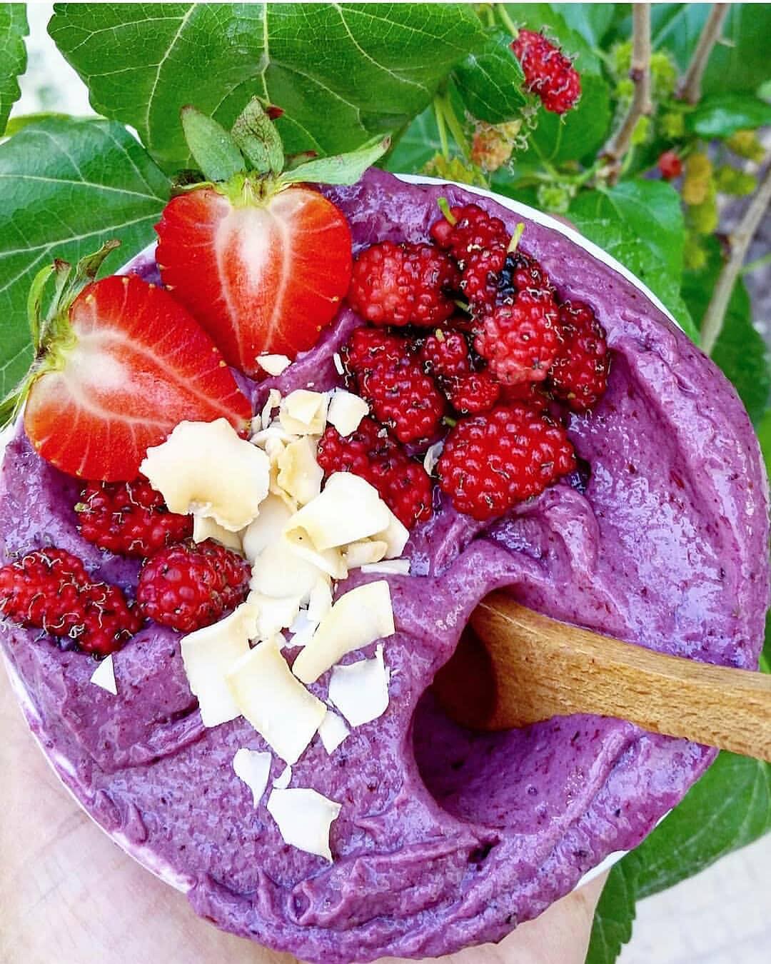 Black Mulberry Avocado Smoothie Bowl