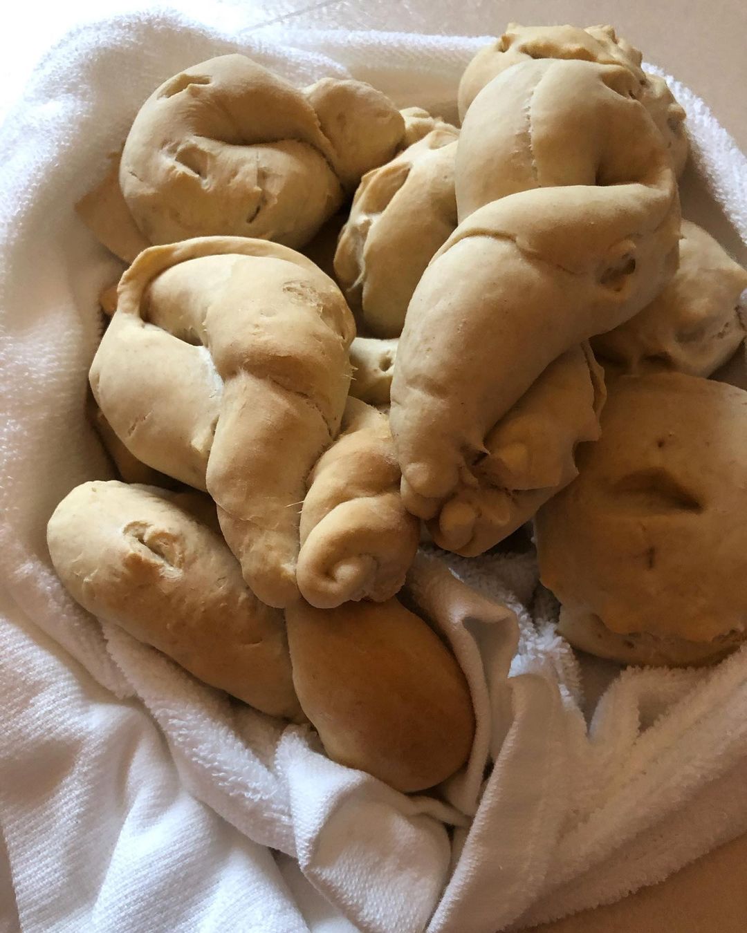 Panini All’ Olio