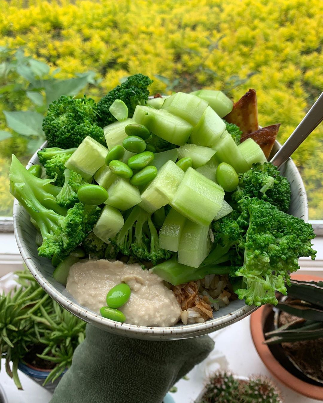 Miso Tofu Tahini Stir Fry
