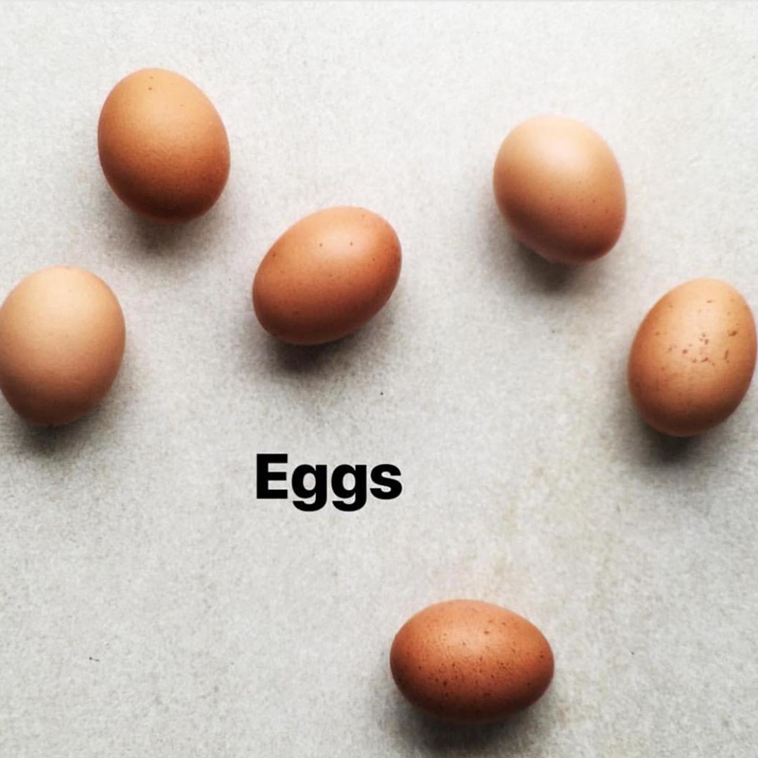 Introducing Eggs