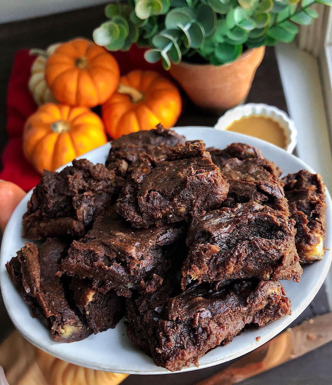 fudgy plant based pumpkin brownie