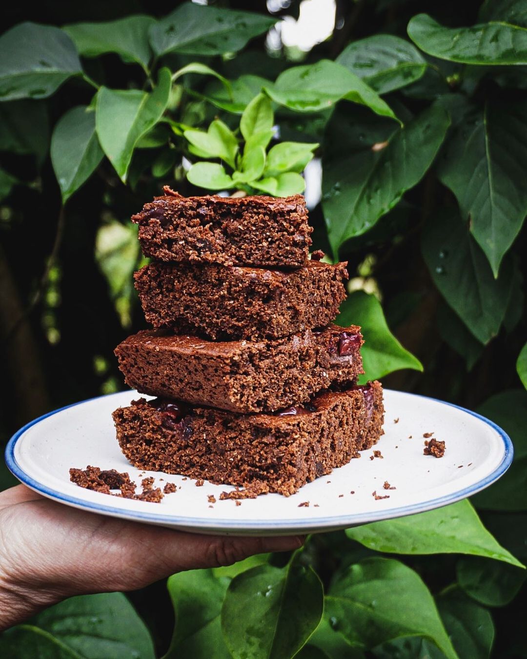 Choclate-Brownies with Chickpea Flour and Cherries