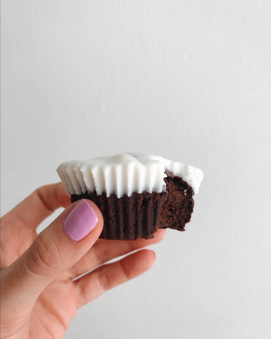 Vegan Chocolate Muffins with Coconut Frosting