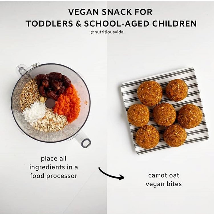 Carrot Oat Vegan Bites