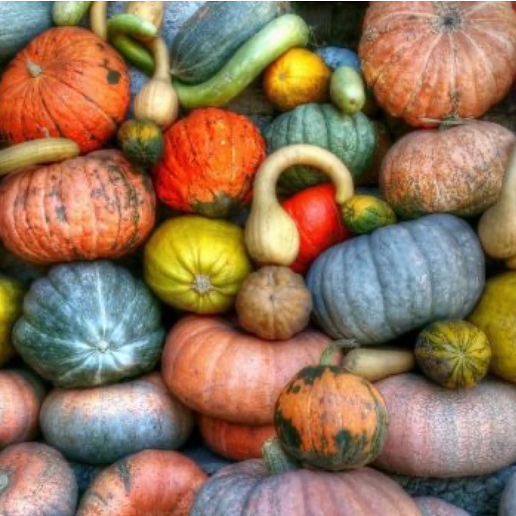 Halloween-Inspired Pumpkin Fritters for Babies