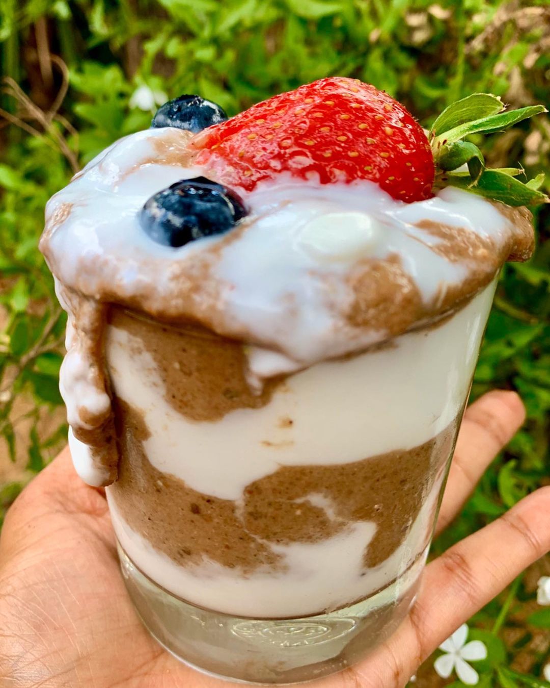 Vegan Coconut Cocoa Maca Nice Cream