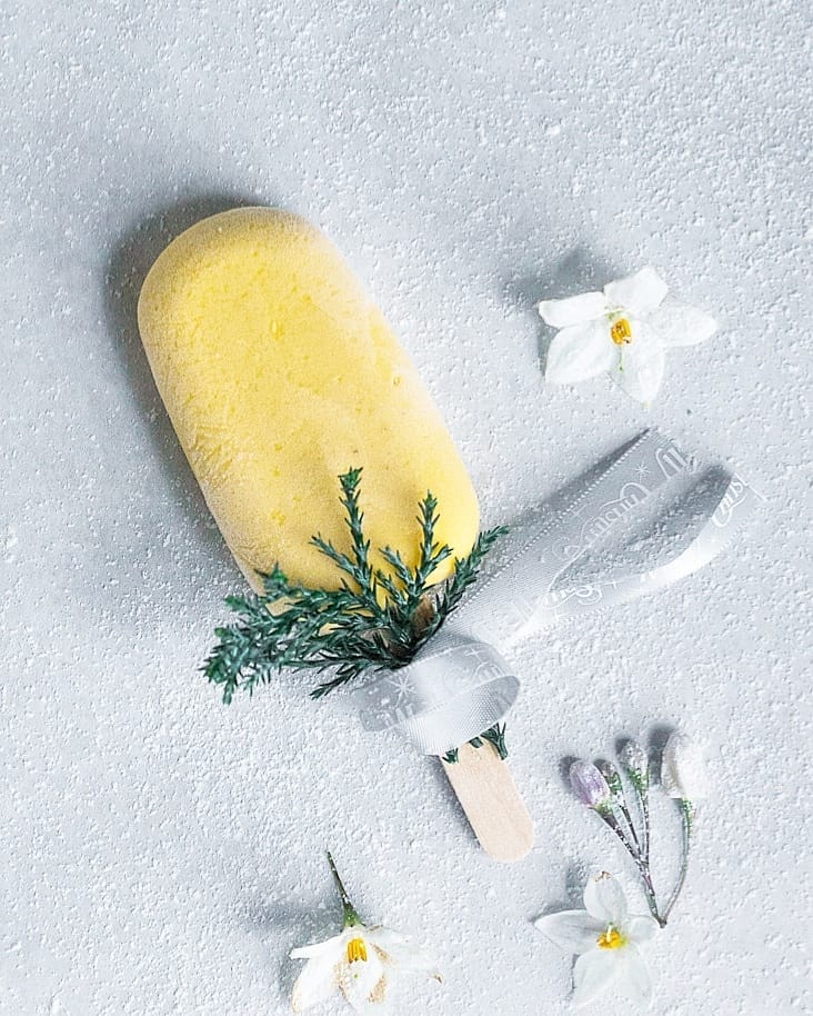 Summer Christmas Popsicles