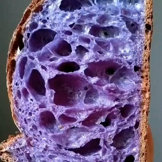 Butterfly Pea Flower Sourdough Recipe Monchef