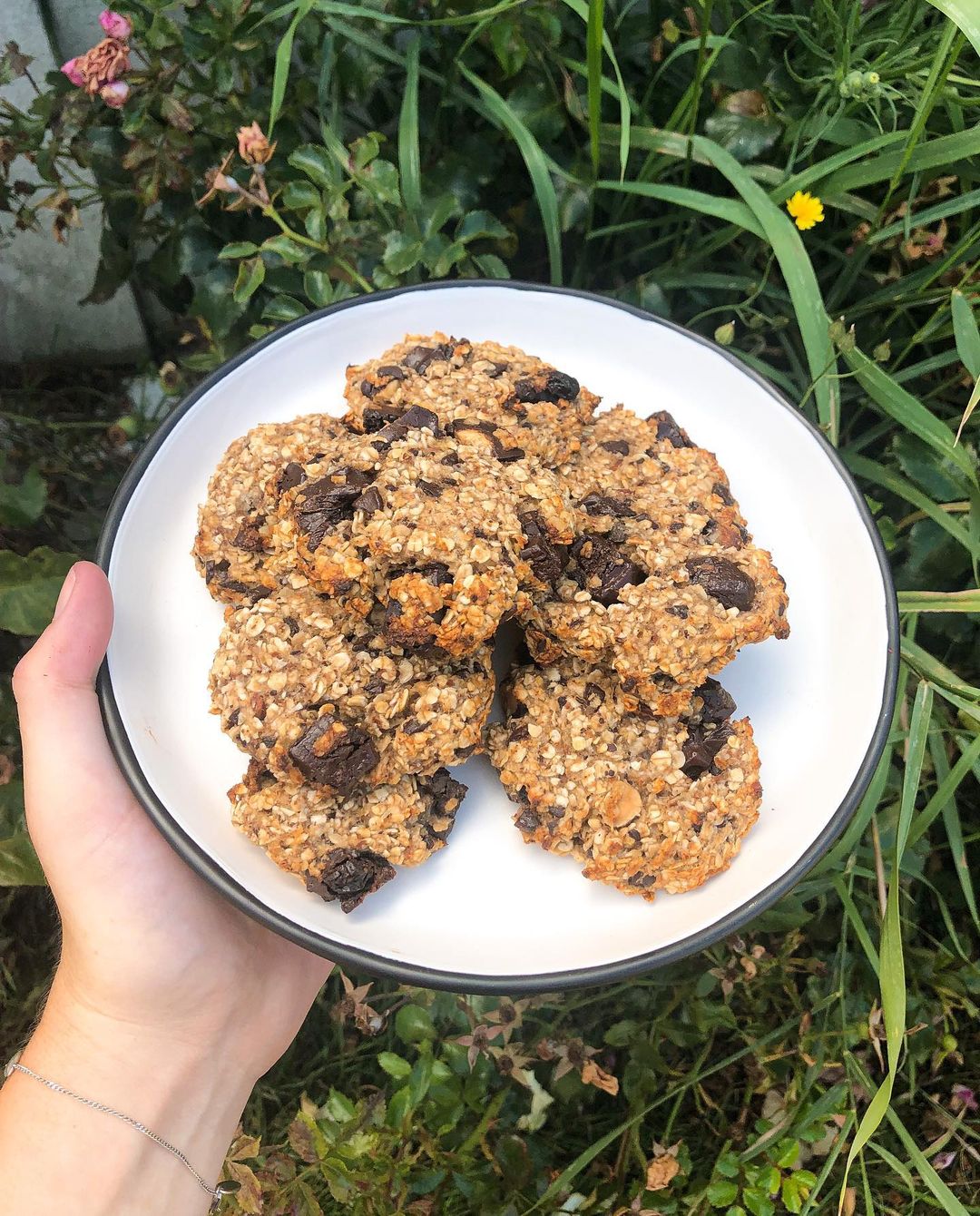 Quick Banana Oat Cookies with Chocolate